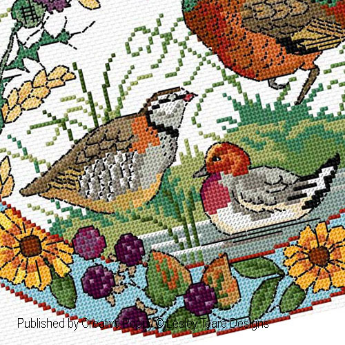 Lesley Teare Designs - Birds in Autumn zoom 3 (cross stitch chart)