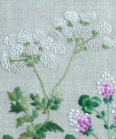 Agnès Delage-Calvet - Wildflowers ABC (cross stitch chart)