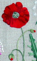 Wildflower ABC - embroidery pattern - by Agnès Delage-Calvet (zoom 2)