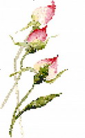 <b>Birth of roses</b><br>cross stitch pattern<br>by <b>Féeféedille</b>