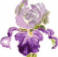 Light purple iris - cross stitch pattern - by Féeféedille (zoom 1)