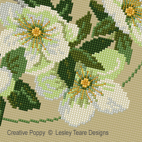 Lesley Teare Designs - Robin with Christmas Roses zoom 1 (cross stitch chart)
