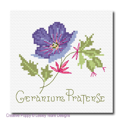 Wildflowers, cross stitch pattern by Lesley Teare Designs (zoom)