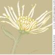 Autumn Haïku: petals of Chrysanthemum - cross stitch pattern - by Monique Bonnin (zoom 1)