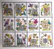 <b>12 Birds and Blackwork Flowers</b><br>cross stitch pattern<br>by <b>Lesley Teare Designs</b>