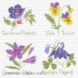<b>Wildflowers</b><br>cross stitch pattern<br>by <b>Lesley Teare Designs</b>