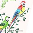 Perrette Samouiloff - Parrots zoom 1 (cross stitch chart)