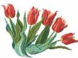 An armful of red tulips, cross stitch design by Monique Bonnin.