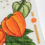 Faby Reilly Designs - Anthea - November - Physalis, zoom 1 (Needleworkchart)