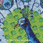Faby Reilly Designs - Peacock Needlebook zoom 3 (cross stitch chart)