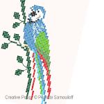 Perrette Samouiloff - Parrots zoom 2 (cross stitch chart)