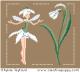 <b>White Fairies collection: Snowdrop fairy</b><br>cross stitch pattern<br>by <b>Sylvie Teytaud</b>